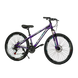 Велосипед Corso 26" «Global» GL-26577 рама стальная 13’’, оборудование Saiguan 21 скорость, фиолетовый с черным - 2