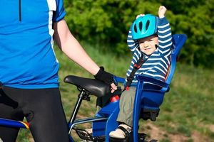 Детские велокресла: обзор рынка детских велокресел, популярные