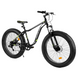 Велосипед CORSO «Avalon» 26" 27005 ФЕТБАЙК, рама алюминиевая, оборудование Shimano 7 скоростей, черный - 3