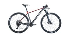 Велосипед Cyclone PRO 1 carbon 29" серо-красный 2022