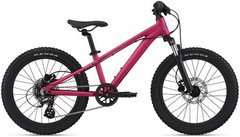 Велосипед 20" Liv STP FS virtual pink 2021