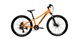 Велосипед WINNER BETTY 24" orange 2022 - 1